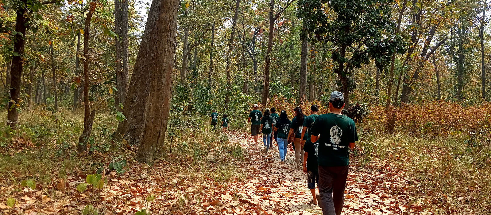 half day jungle walk