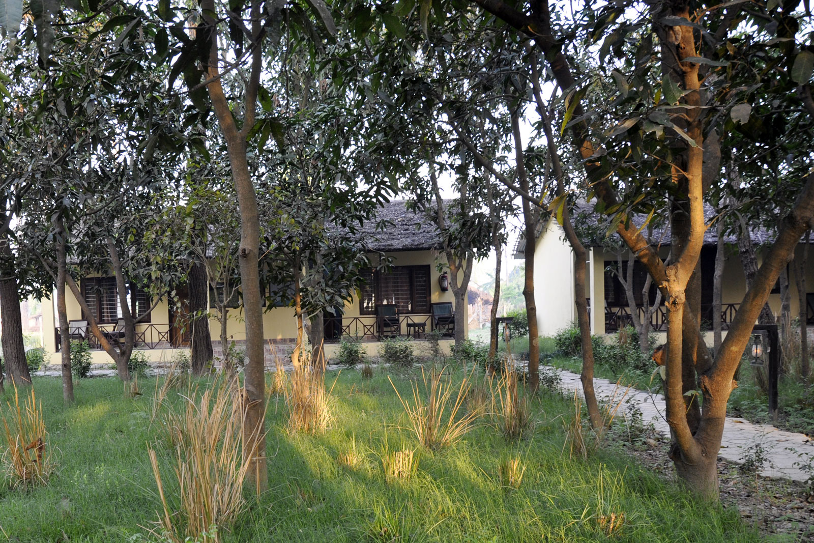 Rhino Lodge Bardia Cottages