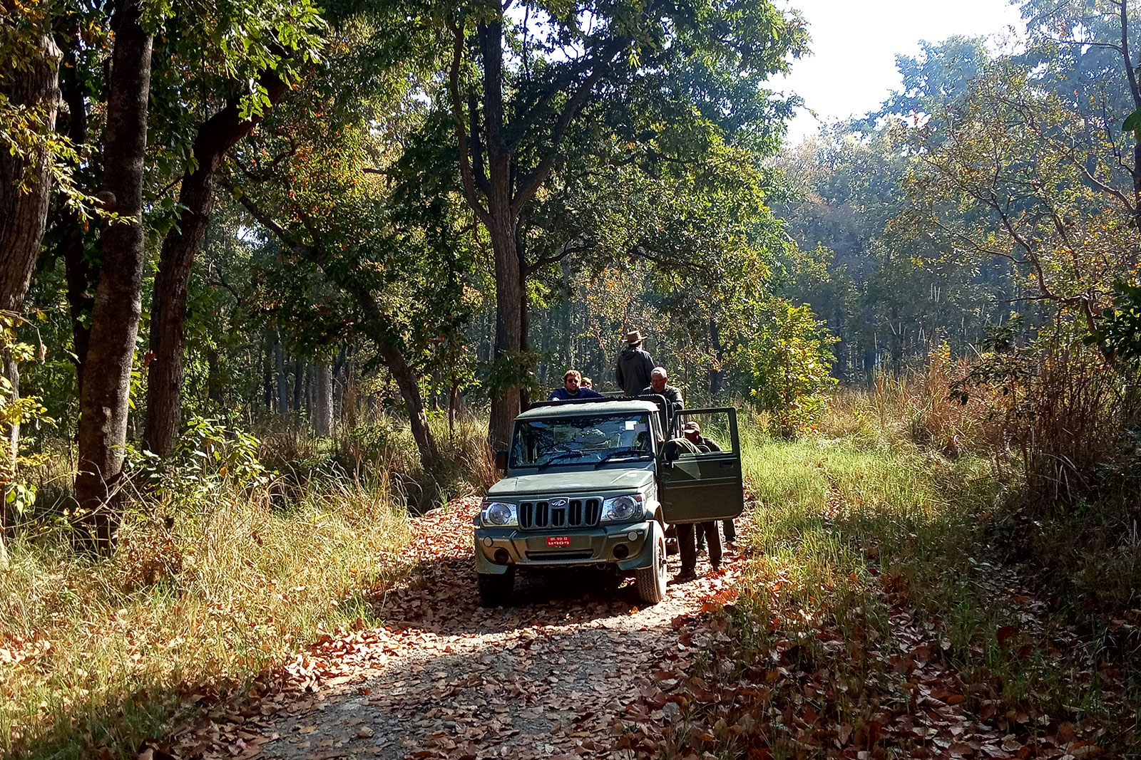 Jeep Safari at Bardia National Park