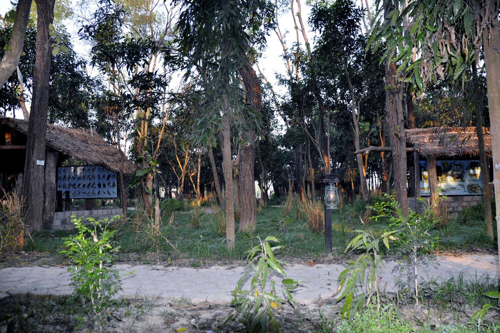Rhino Lodge Bardia Cottages
