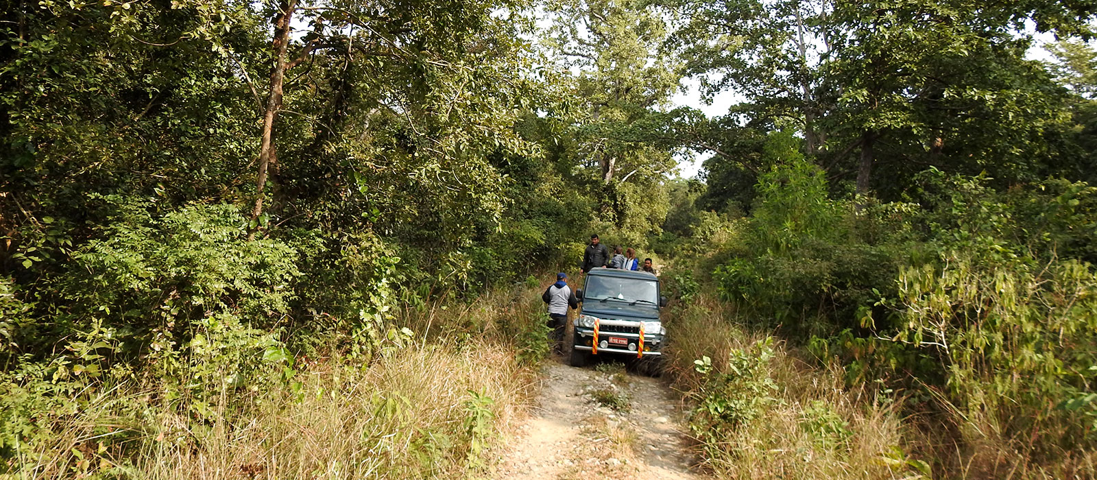 Jeep safari in Bardia